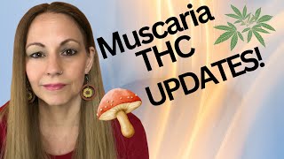 Amanita Muscaria And Cannabis Update [upl. by Pepito]