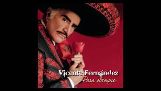 Vicente Fernández  Por Tu Maldito Amor [upl. by Ahsiei]