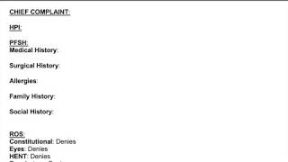 Ideal Medical Scribe Chart  Example Medical Documentation  Flank Pain  Providers SOAP Note [upl. by Honor]