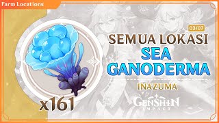 MULUNG IMPEK  SEMUA LOKASI amp TEMPAT SEA GANODERMA GENSHIN IMPACT UNTUK YAE MIKO amp KAEDAHARA KAZUHA [upl. by Parrott5]