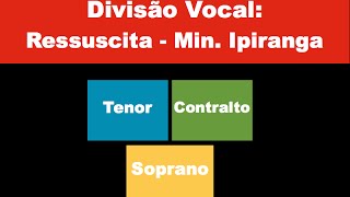 Divisão Vocal  Ressuscita Min Ipiranga  Tutorial [upl. by Eruot]