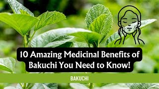 10 Amazing Medicinal Benefits of Bakuchi You Need to Know [upl. by Zechariah]