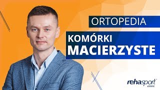 Komórki macierzyste  Lipogems [upl. by Assirok]