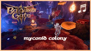 BALDURS GATE 3 Myconid Colony Theme  Unofficial Soundtrack [upl. by Dodie]