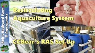 Recirculating Aquaculture System RAS a visit to see CCBears set up [upl. by Airdnazxela]