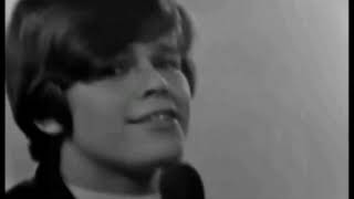 Hermans Hermits  No Milk Today 1966 Edition Special Extended version Audio HQ stereo [upl. by Ldnek]