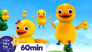 Five Little Ducks More Nursery Rhymes and Kids Songs  Little Baby Bum [upl. by Retswerb255]