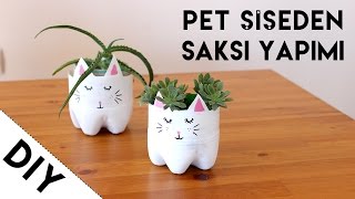 Pet Şişeden Kedi Saksı Yapımı  Geri Dönüşüm Projeleri  Kendin Yap  DIY [upl. by Had]