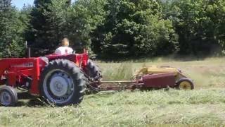 MF 275 and New Holland 467 Haybine [upl. by Ecydnac289]