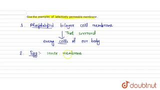 Give the examples of selectively permeable membrane [upl. by Inaj971]