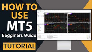 How to Use Metatrader 5 MT5 Tutorial for Beginners Guide [upl. by Leihcey777]