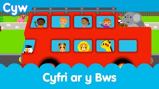 Cân Cyfri ar y Bws Cyw  Cyws Counting on the Bus Song [upl. by Enetsuj]