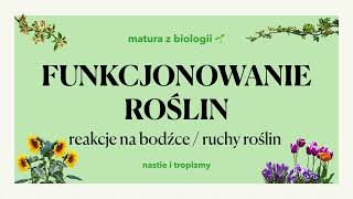 313  Ruchy roślin 🌼  tropizmy nastie aparaty szparkowe 🌷 matura z biologii 📕 liceum [upl. by Oinigih]