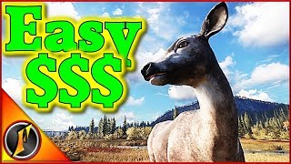 How to Earn Cash as a Beginner  theHunter Call of the Wild [upl. by Garin747]