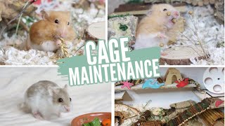 Hamster Cage Maintenance [upl. by Hairabez]