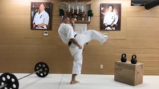 Kyokushin  Legs Training quotIntermediatequot [upl. by Ativoj]