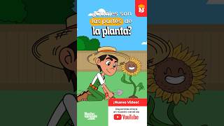 ¿Cuáles son las PARTES de la PLANTA  Ciencias Naturales para NIÑOS  Curiosidades  Biología [upl. by Apple5]