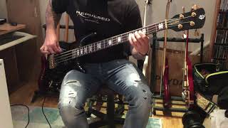 Master of Puppets  Metallica Bass Cover [upl. by Yager]