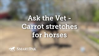 Ask the Vet  Carrot stretches for horses [upl. by Auoh]