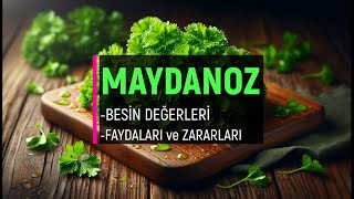 MAYDANOZ Besin Değerleri Faydaları Zararları [upl. by Crichton]