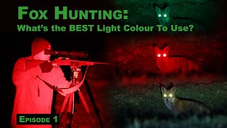 Whats the BEST Light Colour for Fox Hunting [upl. by Ricoriki]