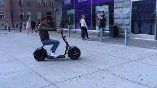 ZIMO Fat Tire Citycoco Scooter E1 [upl. by Fariss199]