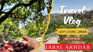 My 2 Vlog  Travel Vlog  Trip to Jabal Akhdar Oman ayyunakitchen [upl. by Ahsele]