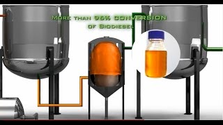 TransBiodiesel  Turning Waste Oil to Profit [upl. by Anrev]