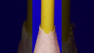 Color pencil amp Tweezers v2 ASMR Close upmacro macro asmrvideo satisfying asmrsounds closeup [upl. by Nahtnanhoj646]