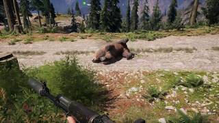 Where To Find Grizzly Bear Skin  Far Cry 5 [upl. by Aidualc]