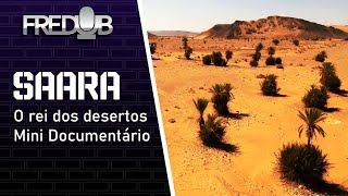 Saara  O Rei dos Desertos  Mini Documentário [upl. by Emelun]