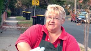 How To Grow Grass From Seed  DIY At Bunnings [upl. by Narcissus723]