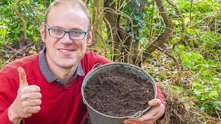 Supercharge Your Compost Heap [upl. by Pry]