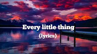 EVERY LITTLE THING lyrics  dishwalla [upl. by Lewis]