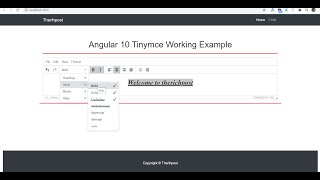 Angular 10 Tinymce Working Tutorial [upl. by Neelie]