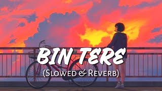 Bin Tere  Slowed amp Reverb   Khoka 420  Dev  Bengali Lofi [upl. by Asfah]