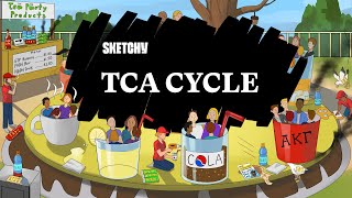 Learn the TCA Cycle Full Lesson  Sketchy MCAT  Biochemistry [upl. by Hajed15]