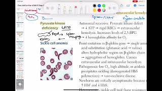 Pyruvate kinase deficiency haematology 50 First Aid USMLE Step 1 in UrduHindi [upl. by Fachanan]