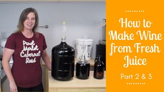 How to Make Wine from Fresh Juice  Part 2 amp 3 [upl. by Llerrahs]