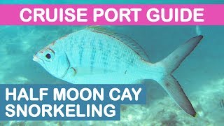 Half Moon Cay Bahamas Cruise Port Guide Snorkeling On Your Own [upl. by Negaet]