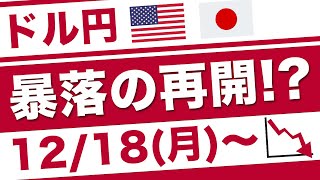 【FX ドル円予想】ドル安は続くのか！？年末相場の傾向と今後の見通しを徹底解説！ [upl. by Brigit77]