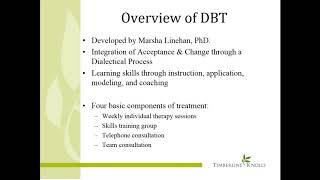 DBT and the 12 Step Model for Addiction Treatment [upl. by Ydnir]