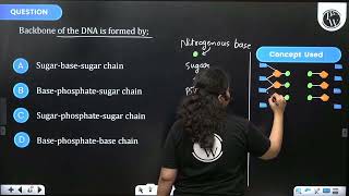 Backbone of the DNA is formed by [upl. by Yrtnej861]