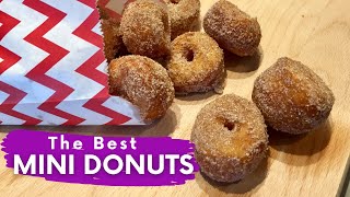 Homemade Mini Donuts Recipe just like the ones at the FAIR [upl. by Iorio56]