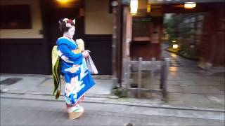 Walk with geisha in Kyotos famous Gion district [upl. by Anileva728]