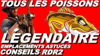 COMMENT PÊCHER TOUS LES POISSONS LÉGENDAIRE POSITIONASTUCES RED DEAD REDEMPTION 2 [upl. by Nayt]