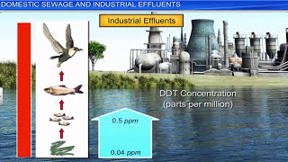 CBSE Class 12 Biology  Environmental Issues  Full Chapter  By Shiksha House [upl. by Deane]