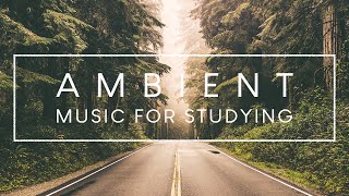 Focus Music Study and Work Playlist [upl. by Annabella]