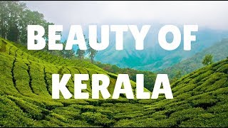 KERALA  The Beauty of Nature [upl. by Yrome]