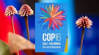 Abre la COP 16 sobre biodiversidad en Colombia [upl. by Ocsirf913]